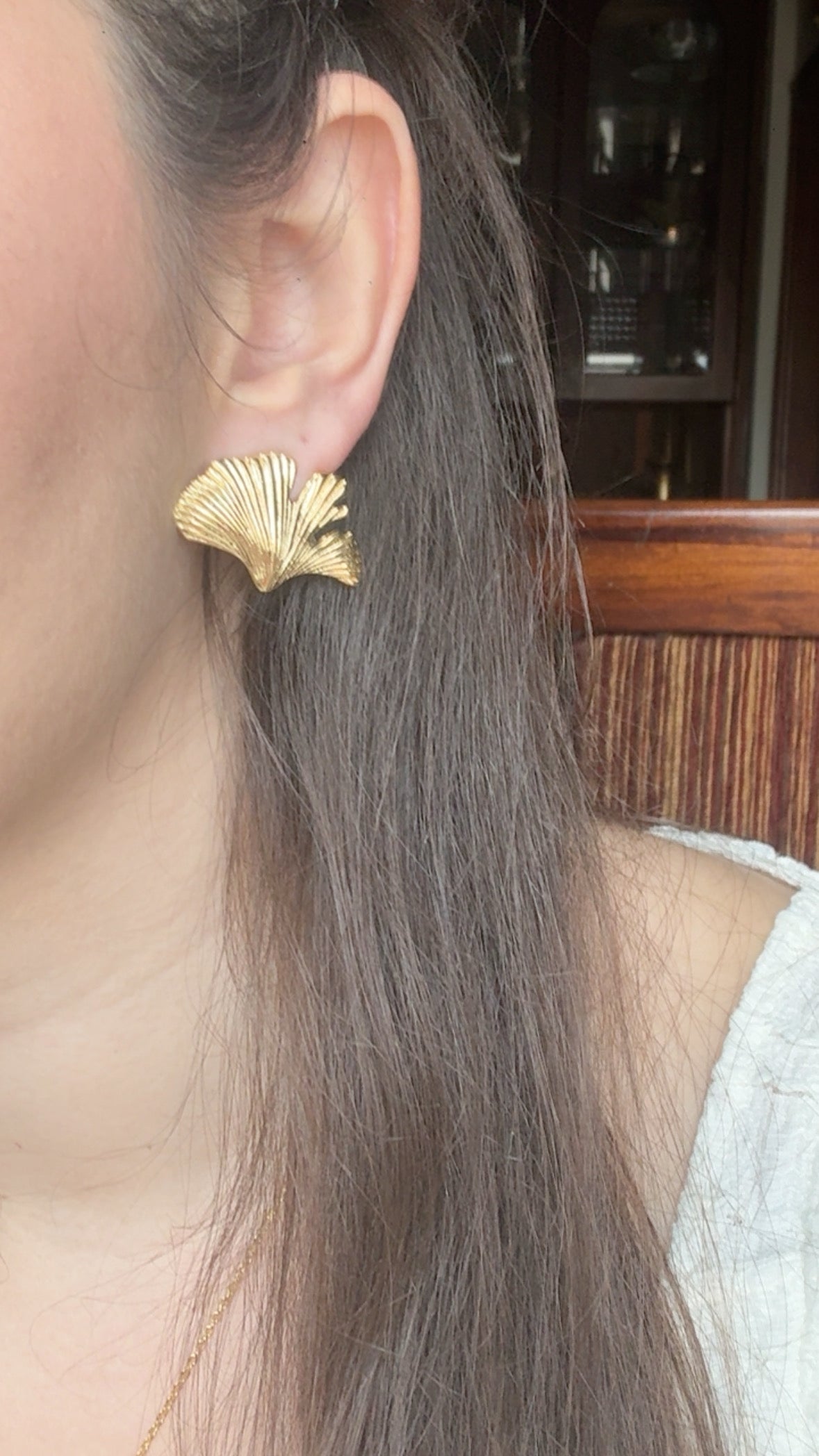 Earrings 2 in 1