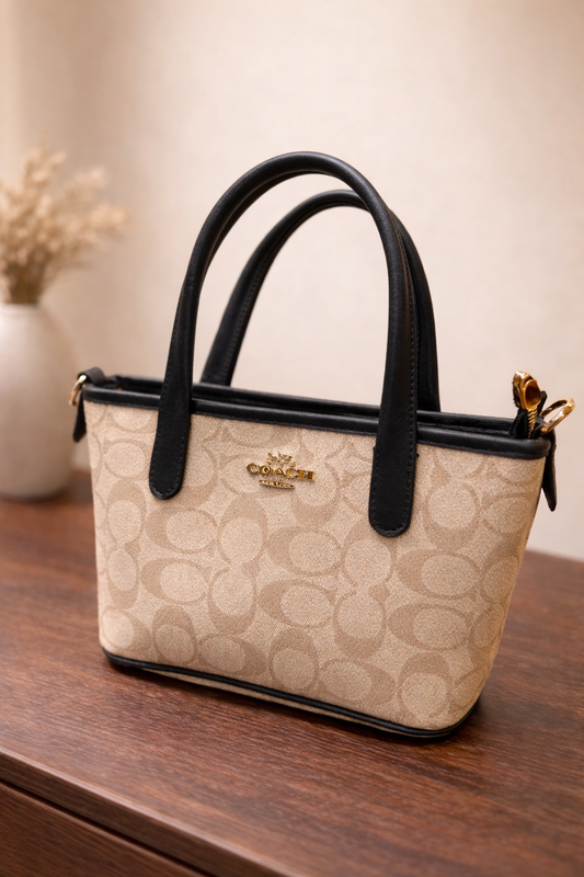 Mini Coach Bag