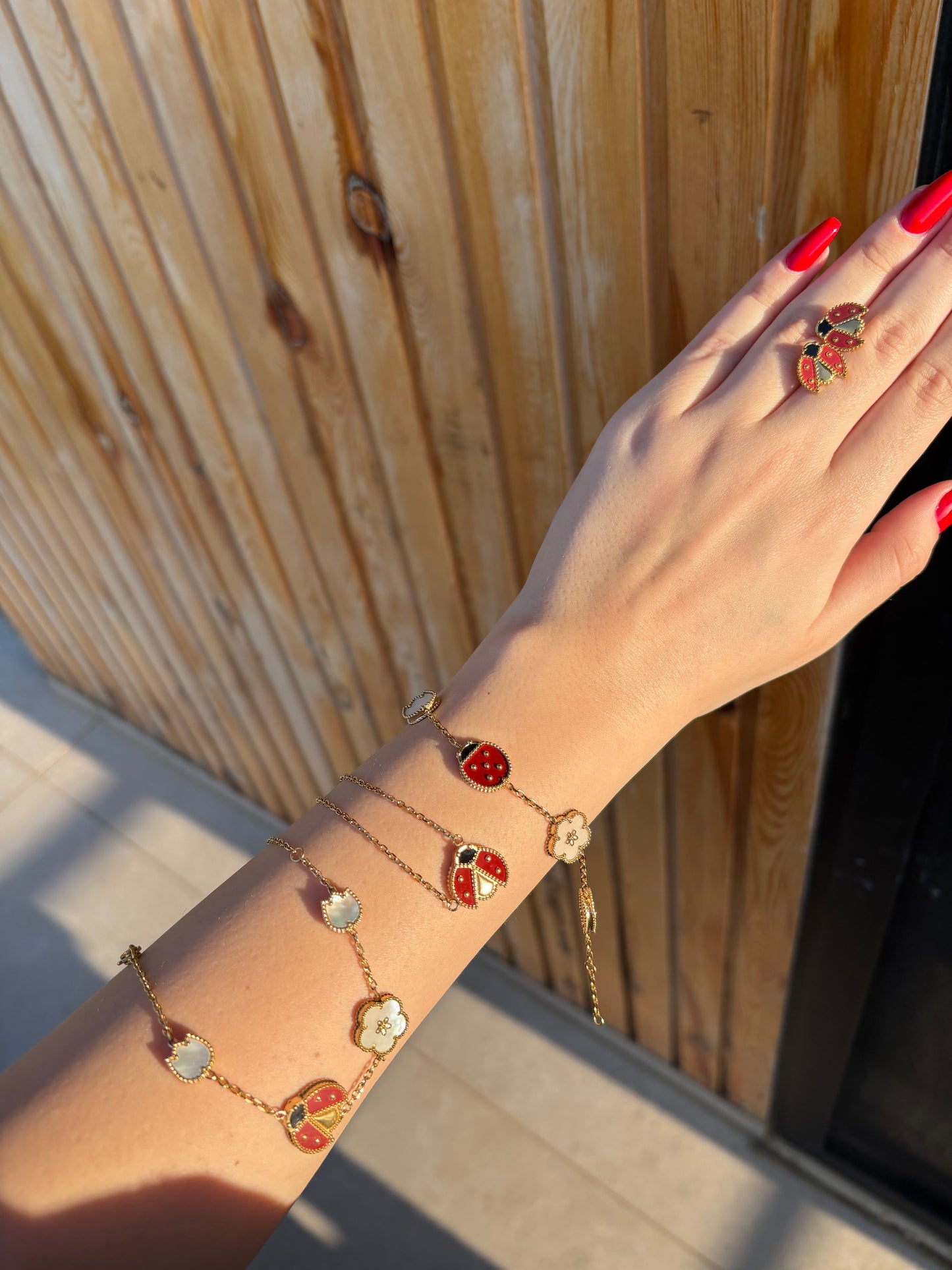 Van cleef Lady Bug Collection Set