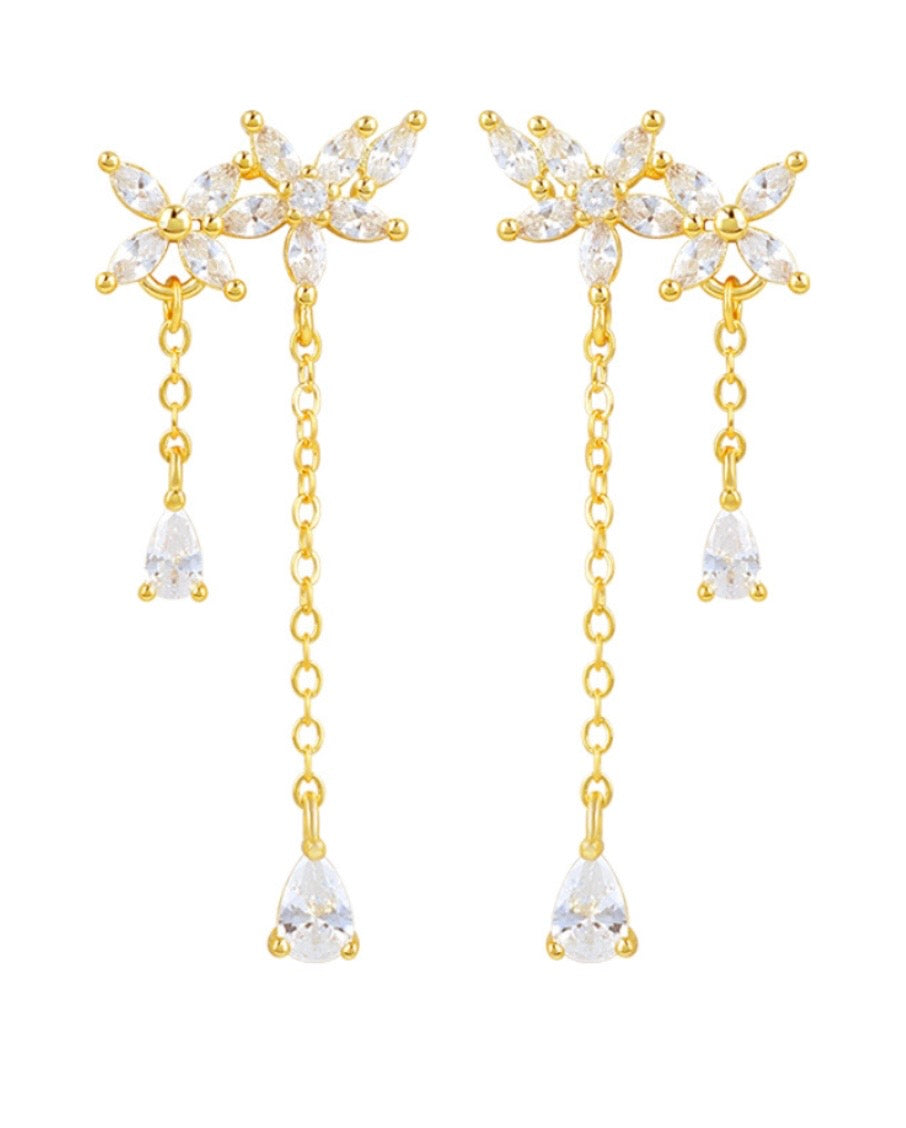 925 Silver Earrings