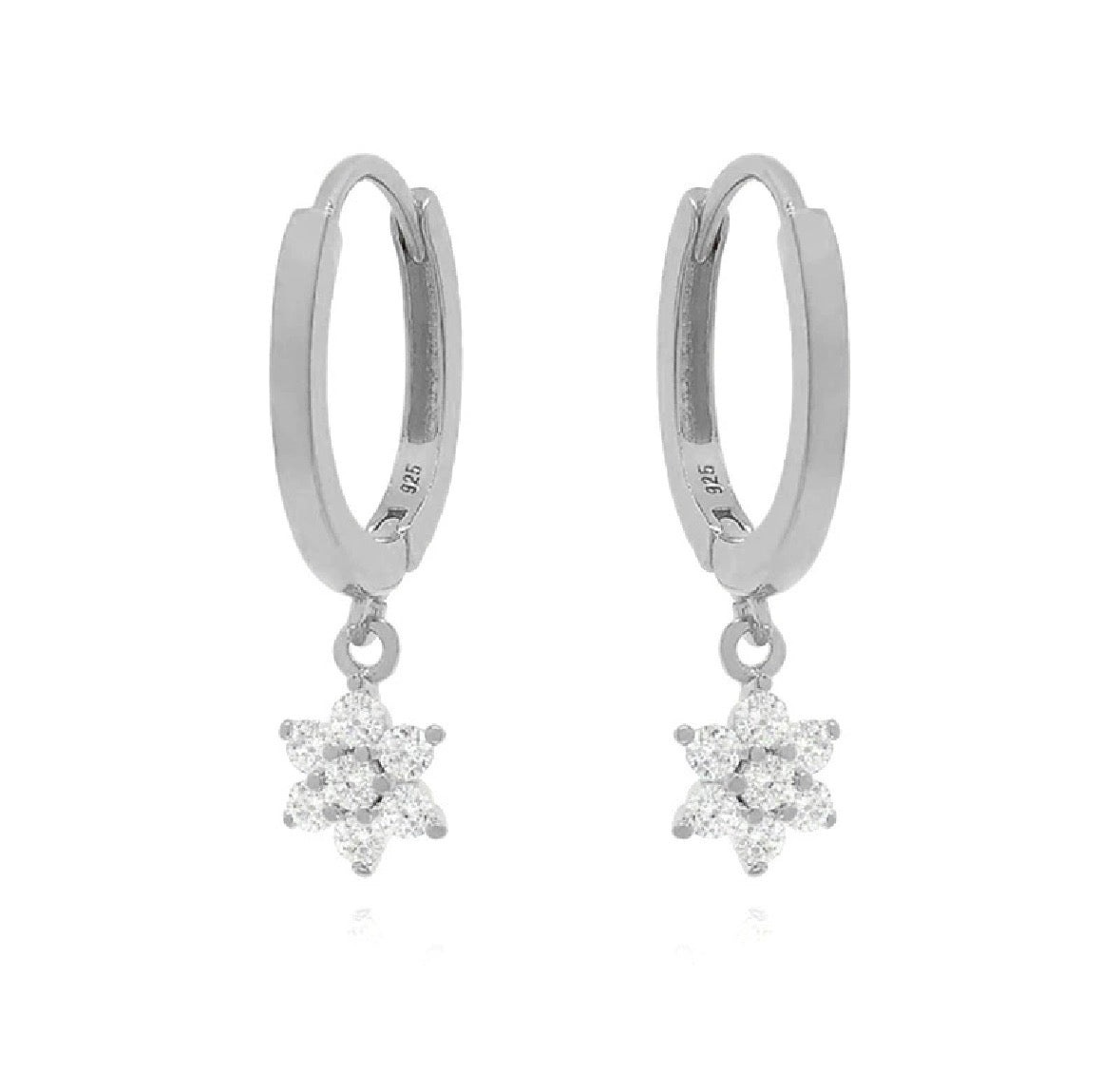 925 Silver Earrings