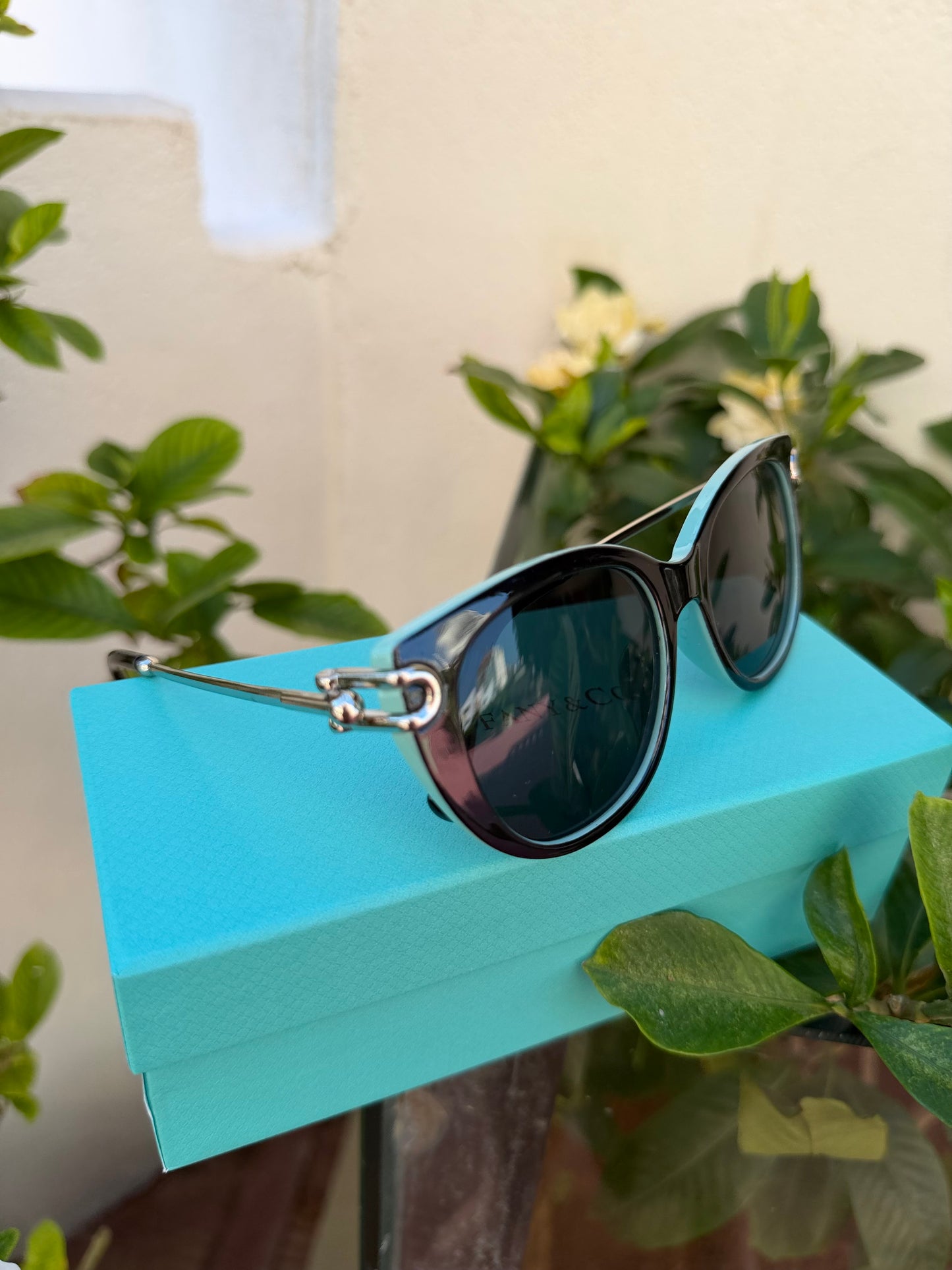 Tiffany & Co sunglasses