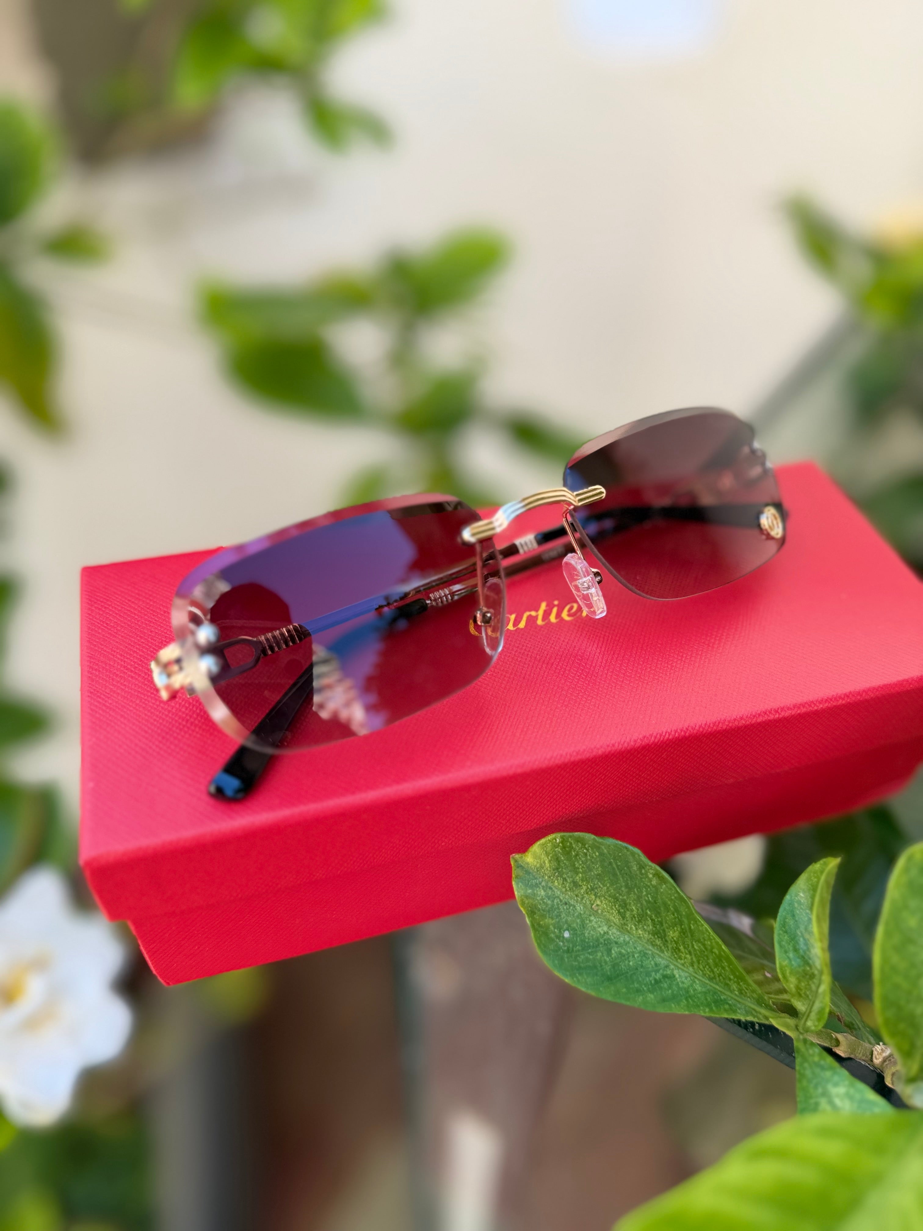 Cartier sunglasses