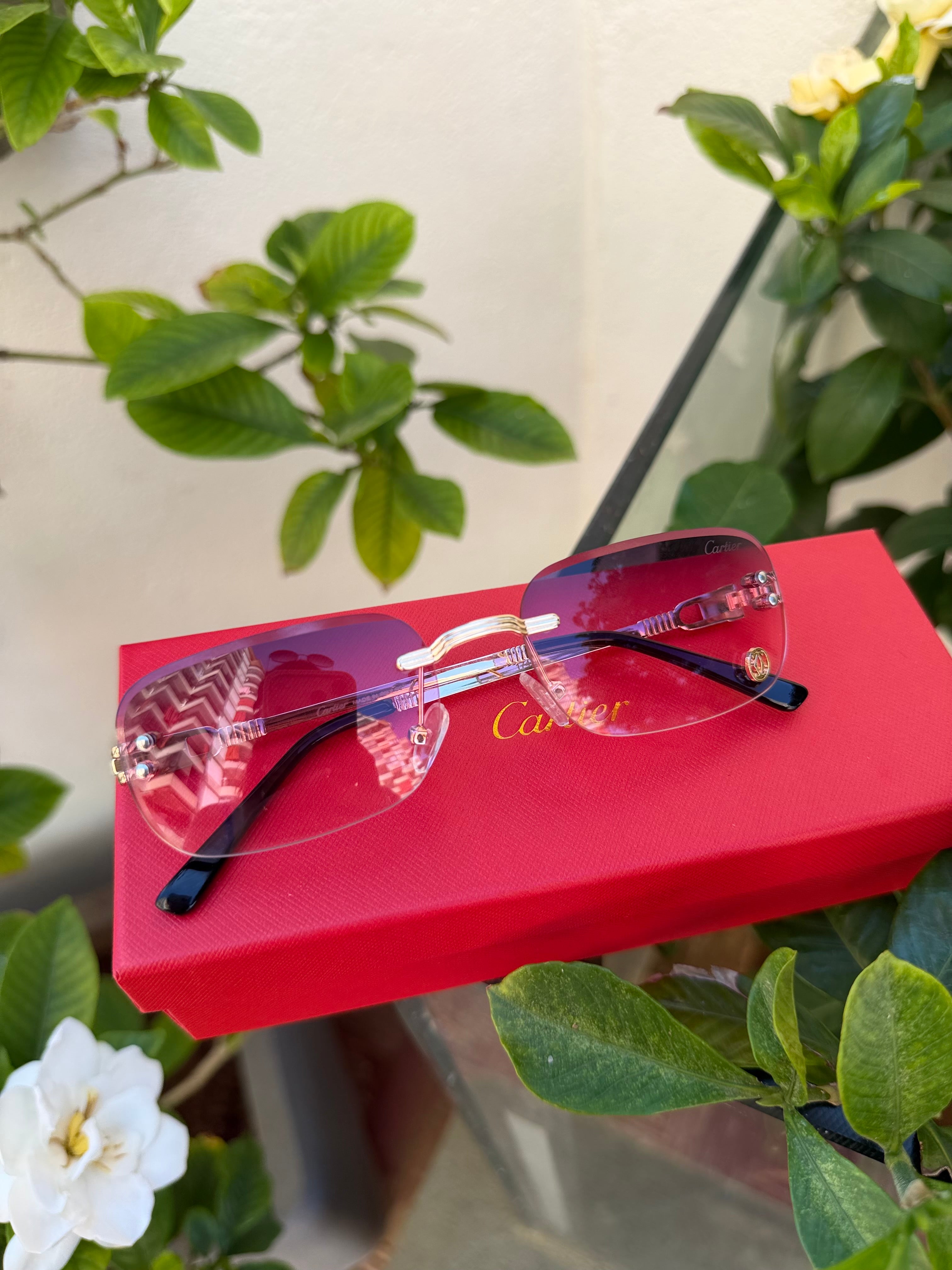 Cartier sunglasses