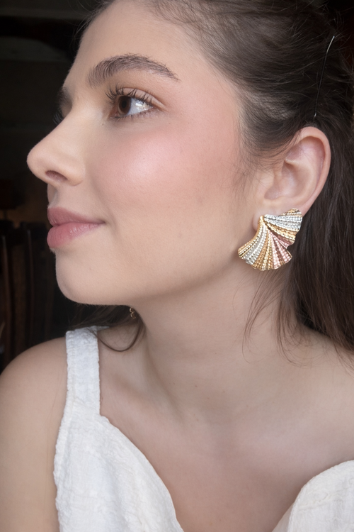 2 in 1 Earrings